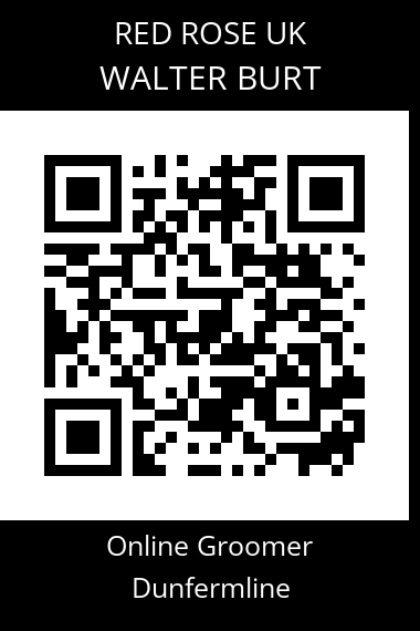 QR code for walter-burt