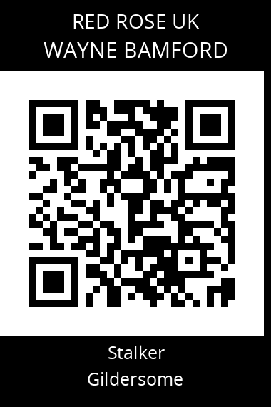 QR code for wayne-bamford-2