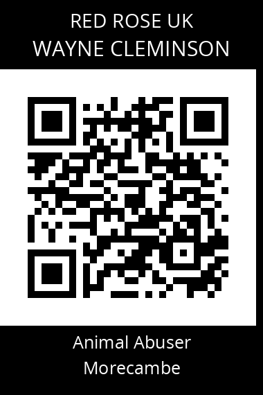 QR code for wayne-cleminson