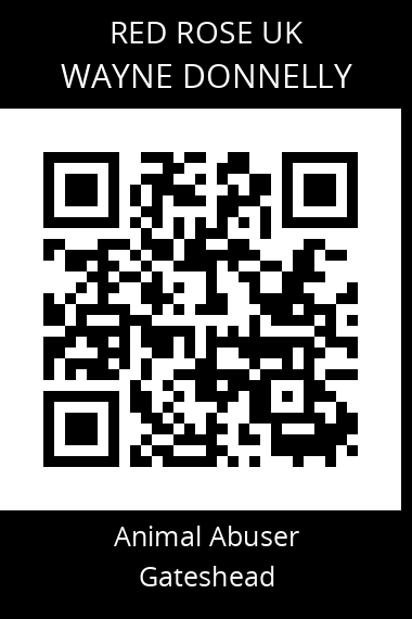 QR code for wayne-donnelly