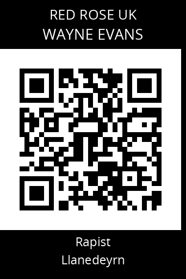 QR code for wayne-evans-1
