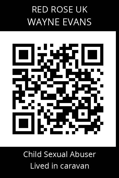 QR code for wayne-evans-2