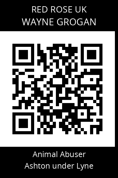 QR code for wayne-grogan