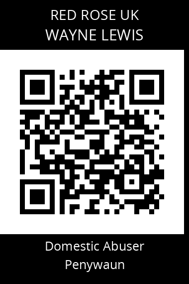 QR code for wayne-lewis-2