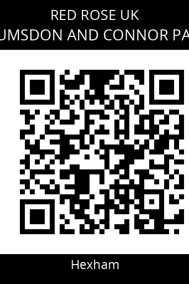 QR code for wayne-lumsdon-and-connor-patterson