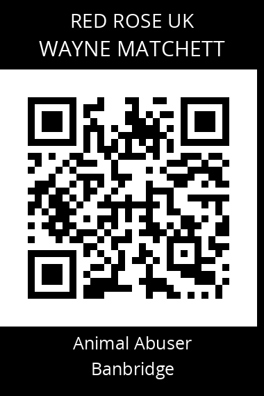 QR code for wayne-matchett