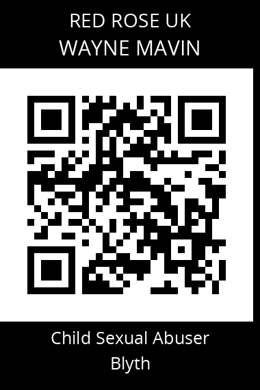 QR code for wayne-mavin