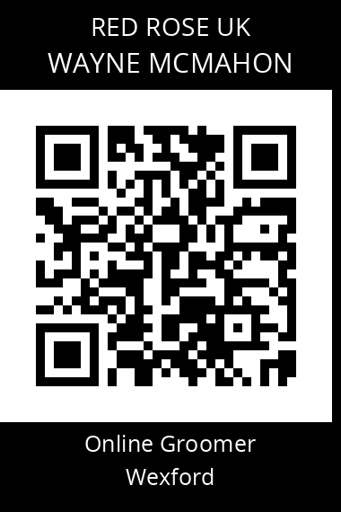QR code for wayne-mcmahon