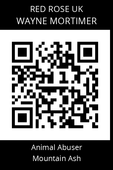 QR code for wayne-mortimer