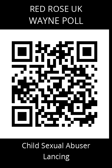 QR code for wayne-poll