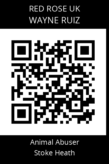 QR code for wayne-ruiz
