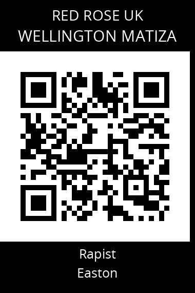 QR code for wellington-matiza