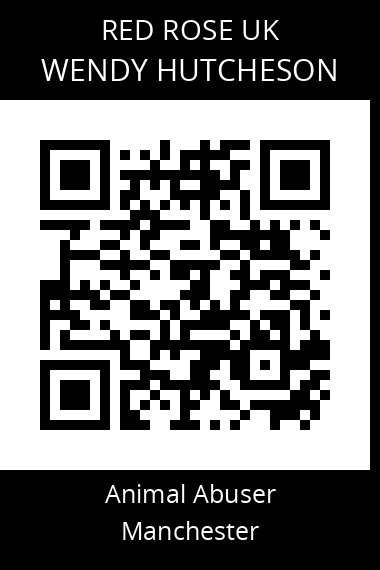 QR code for wendy-hutcheson