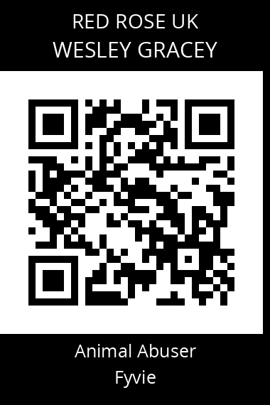 QR code for wesley-gracey