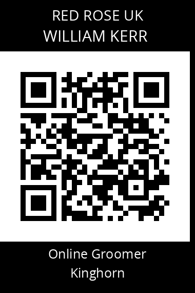 QR code for william-kerr-2