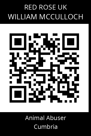 QR code for william-mcculloch