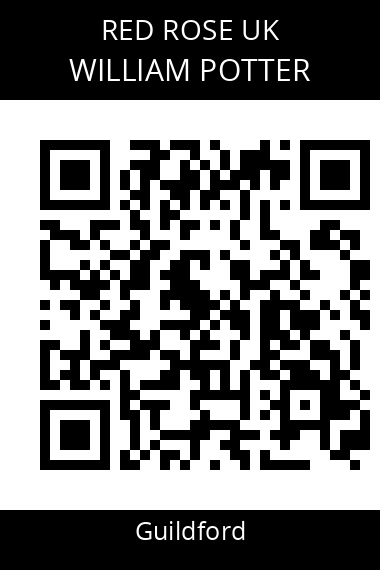 QR code for william-potter-3kpour