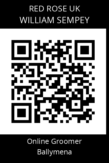 QR code for william-sempey