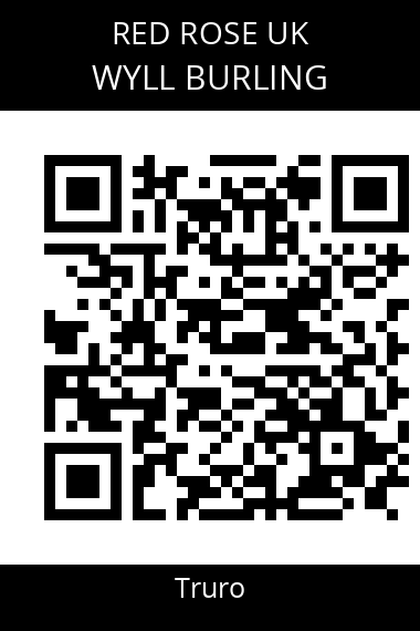 QR code for wyll-burling-3pf2rf
