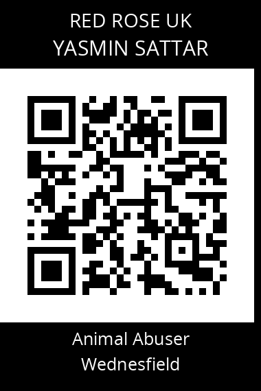 QR code for yasmin-sattar