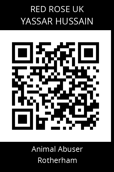 QR code for yassar-hussain-1