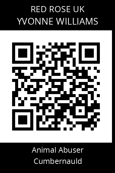 QR code for yvonne-williams