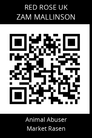 QR code for zam-mallinson