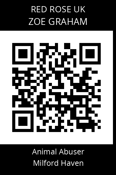 QR code for zoe-graham