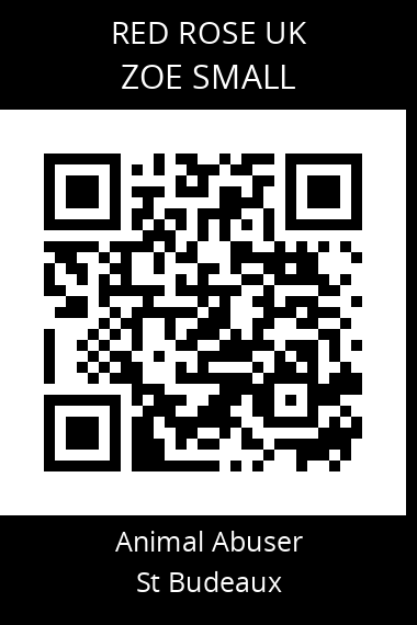 QR code for zoe-small